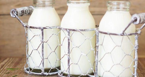 Thedairytimes.com
