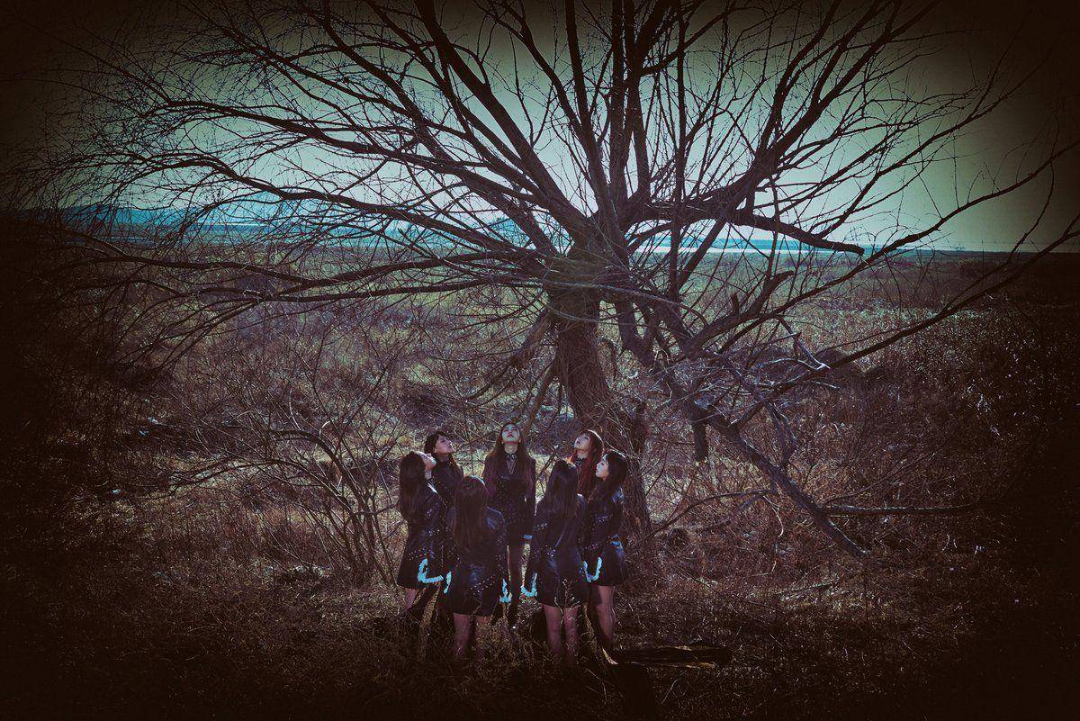 Twitter/드림캐쳐 Dreamcatcher 