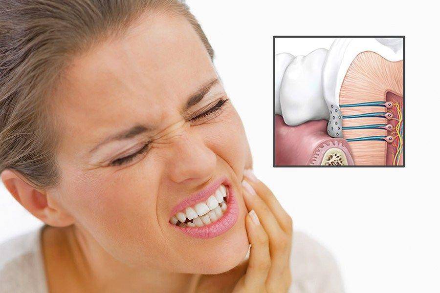 talkdentist.com