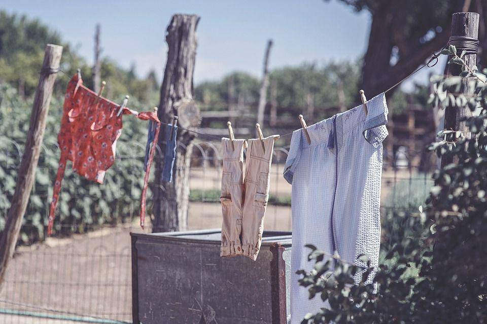 Pixabay.com/TheVirtualDenise