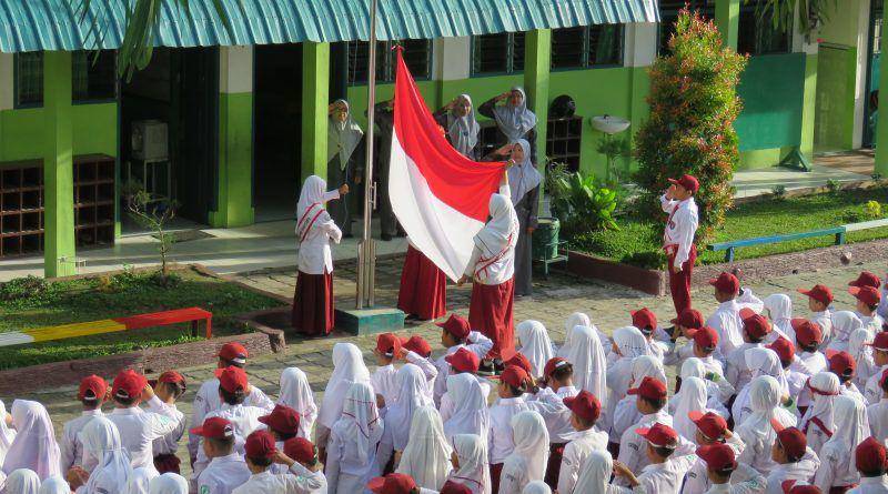 Ypialmunawwarahmurad.com