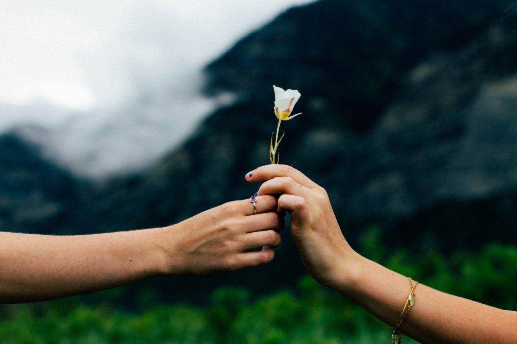 Unsplash/Evan Kirby