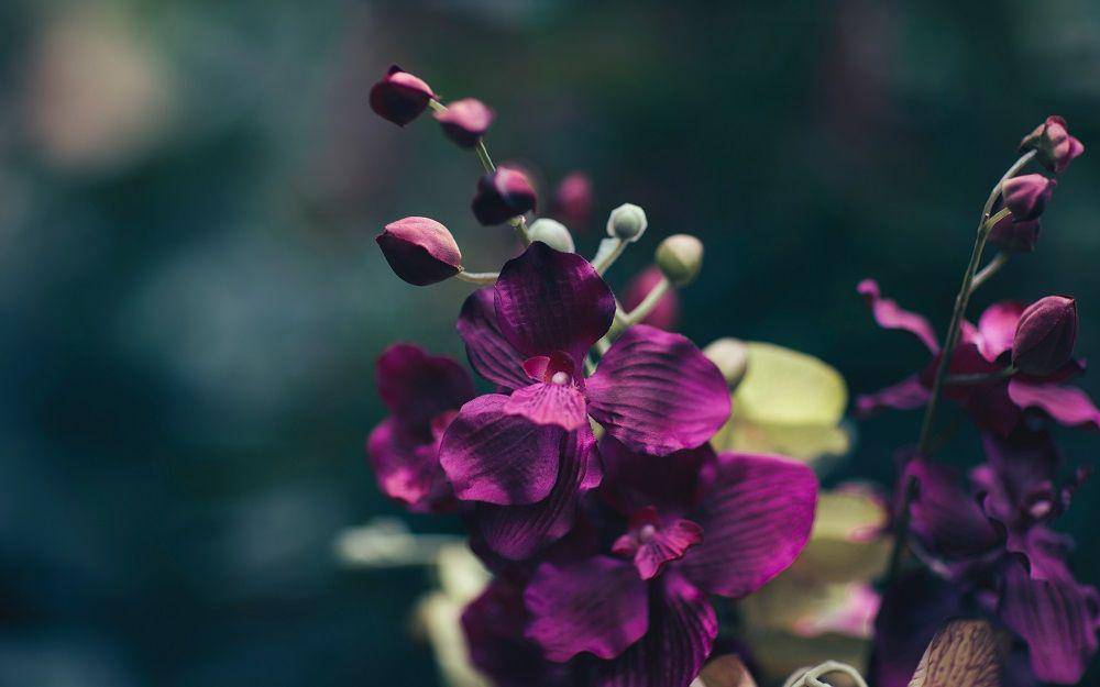 Photo by Jian Xhin on Unsplash