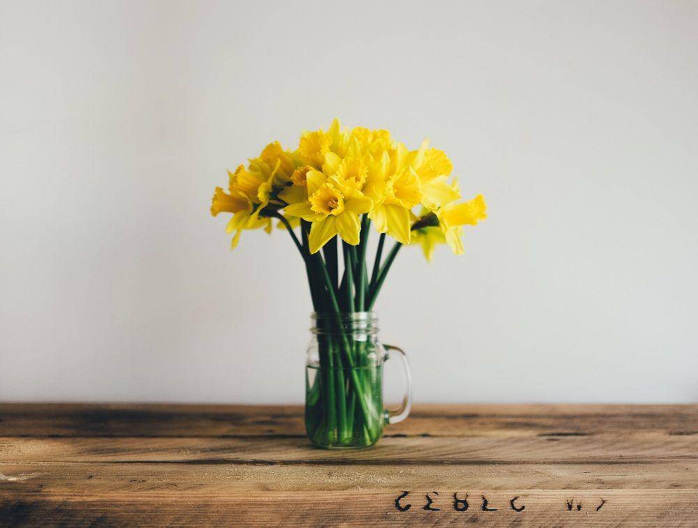 Photo by Annie Spratt on Unsplash