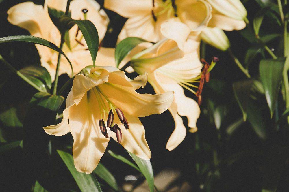 Photo by Kelly Kiernan on Unsplash