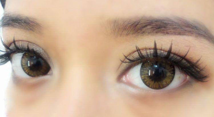 japansoftlens.com