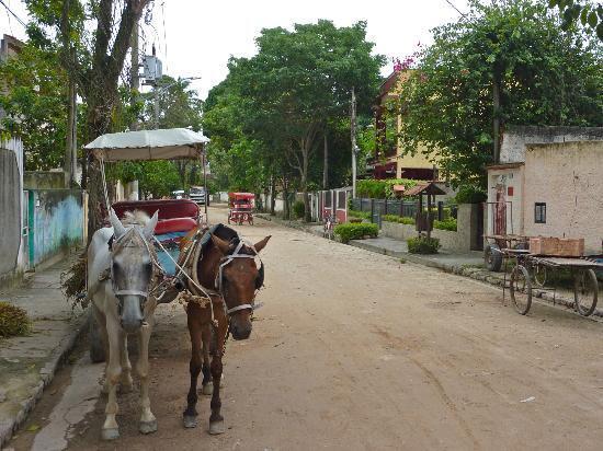 https://www.tripadvisor.com.au