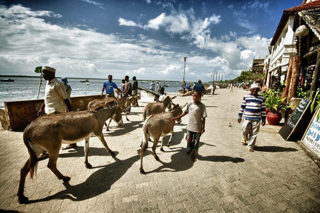 https://www.roughguides.com