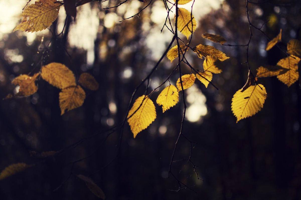 Unsplash/Mariam Soliman