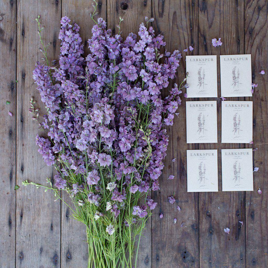 shop.floretflowers.com