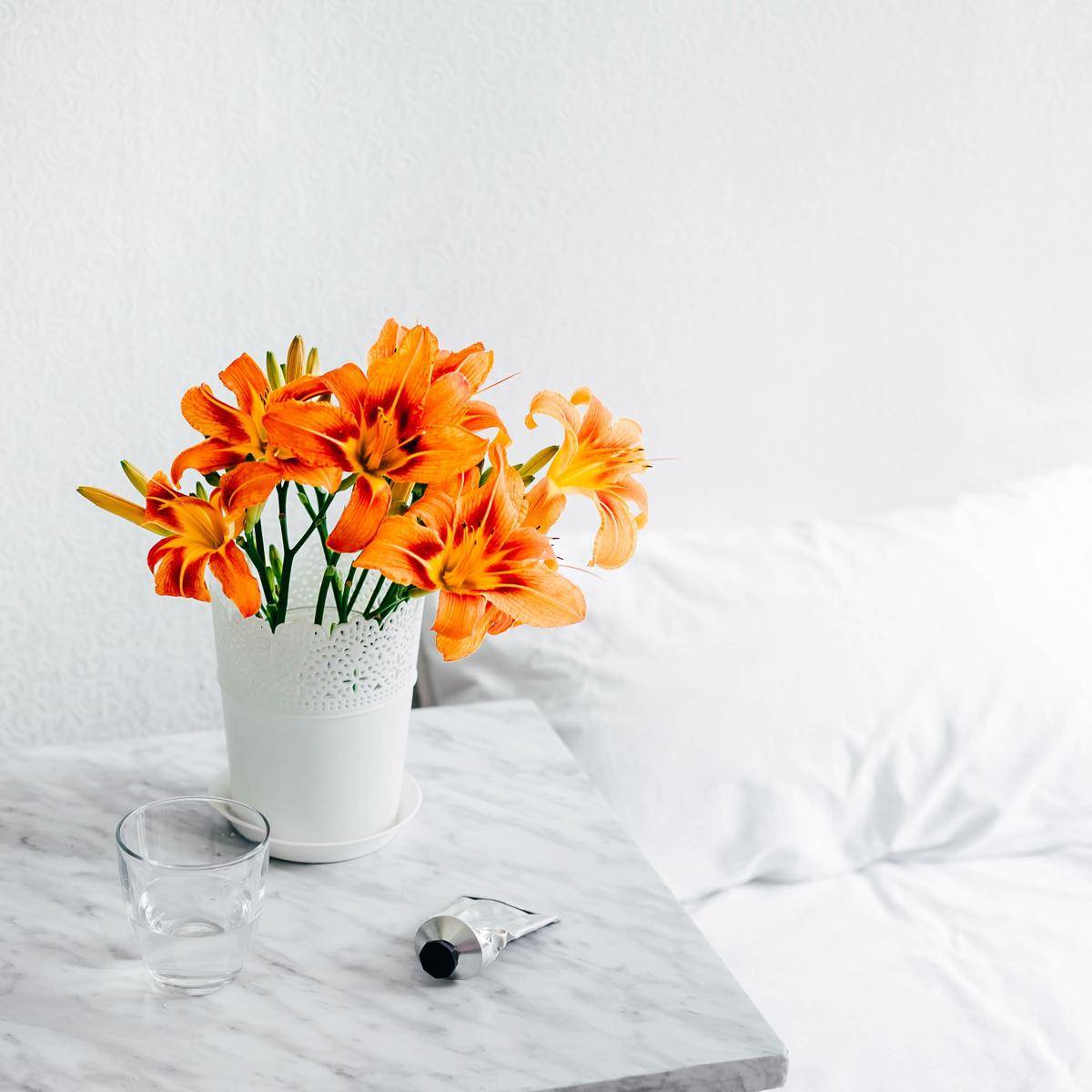 Unsplash/Alexandra Gorn