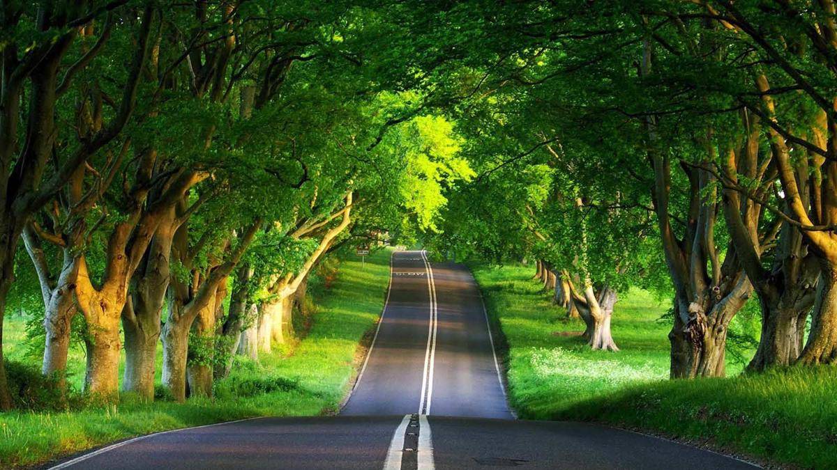 hdwallpapersact.com