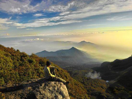 tripadvisor.com.au/ArjunoA