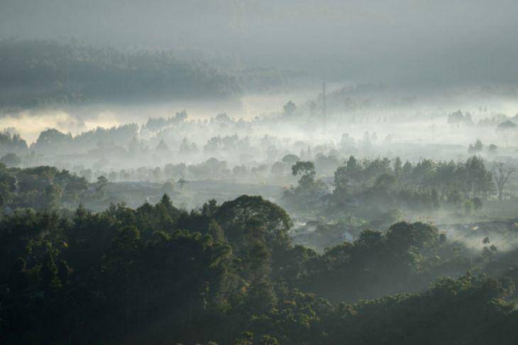Suhu di Bandung 16 Derajat Celcius, Mirip-mirip di Eropa Ya...
