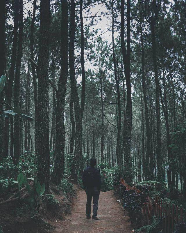 instagram.com/naufanrikza