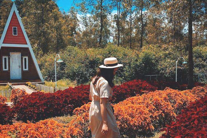 instagram.com/iirenewijaya