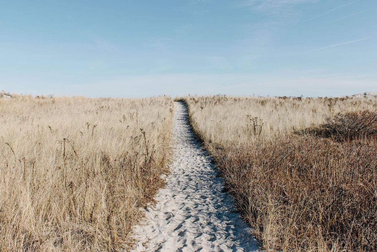 Unsplash/Alice Donovan Rouse