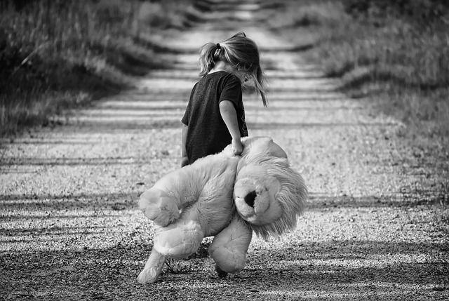 pixabay/Greyerbaby