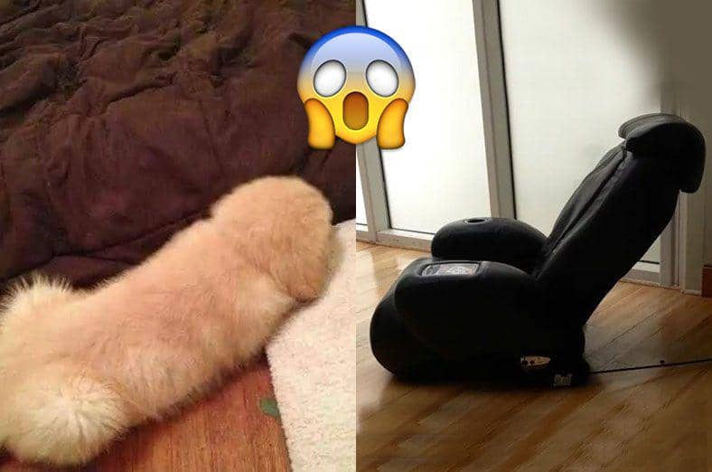 Jangan Ngeres! 15 Ilusi Optik Ini Pasti Bikin Kamu Noleh Dua Kali