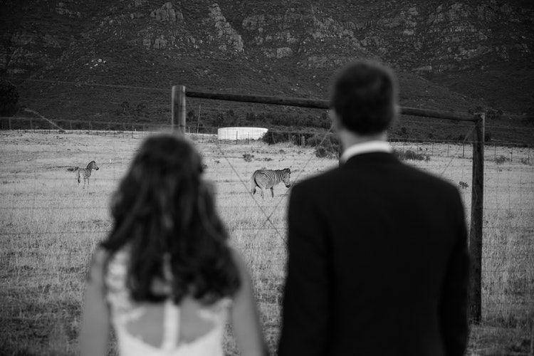 Unsplash/Louis Smith
