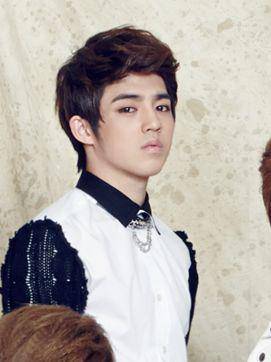 pledis17.wikia.com