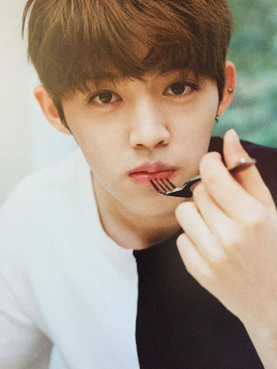 tumblr.com/jeonghanaf