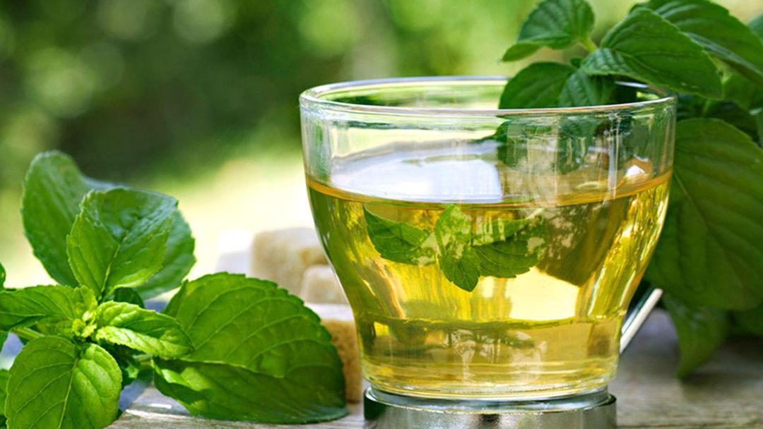 5 Resep Daun Mint Ini Bakal Bikin Hari-harimu Semangat, Fresh Terus!