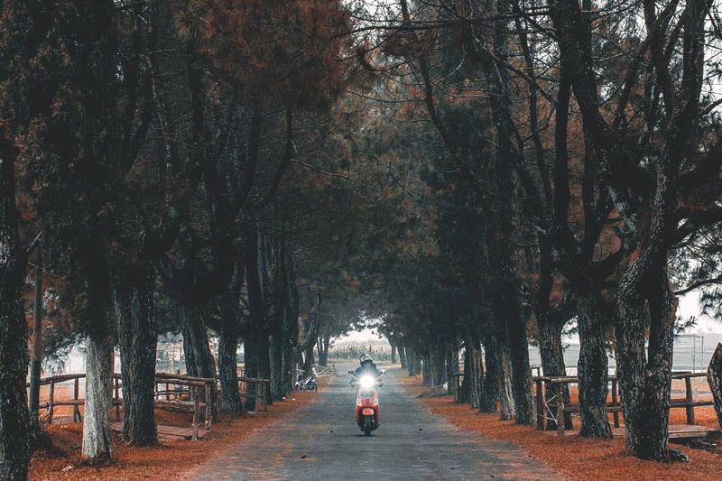 10 Wisata Alam di Lembang Bandung yang Menawan