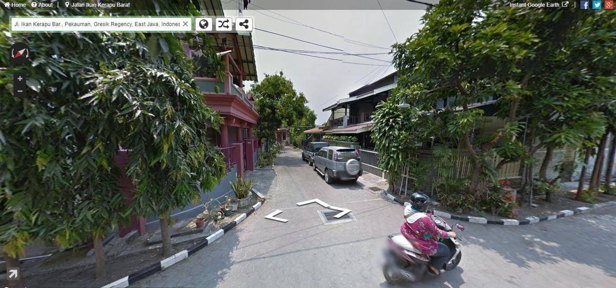 instantstreetview.com