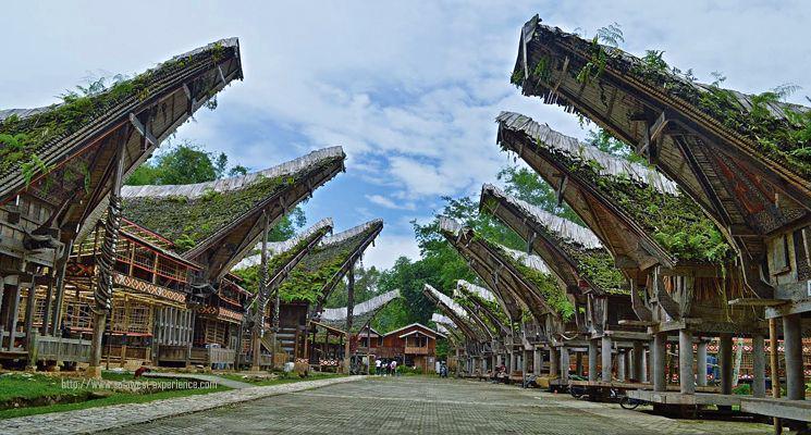 sulawesi-experience.com