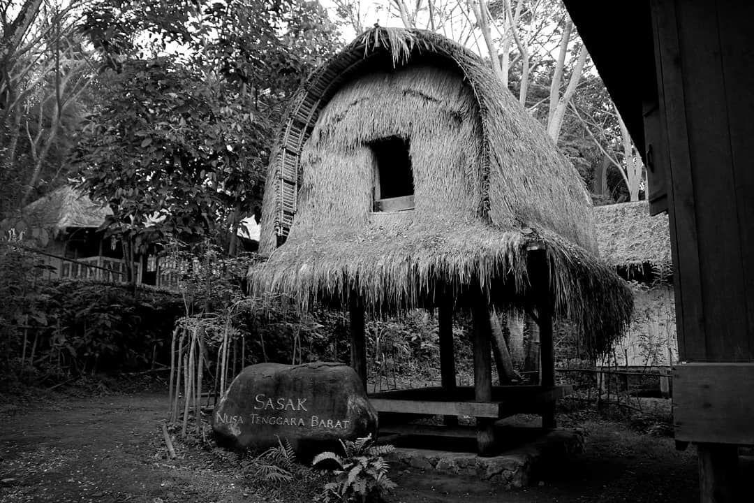 Anti Gempa, Ini Fakta Unik Rumah Adat Suku Sasak di Lombok