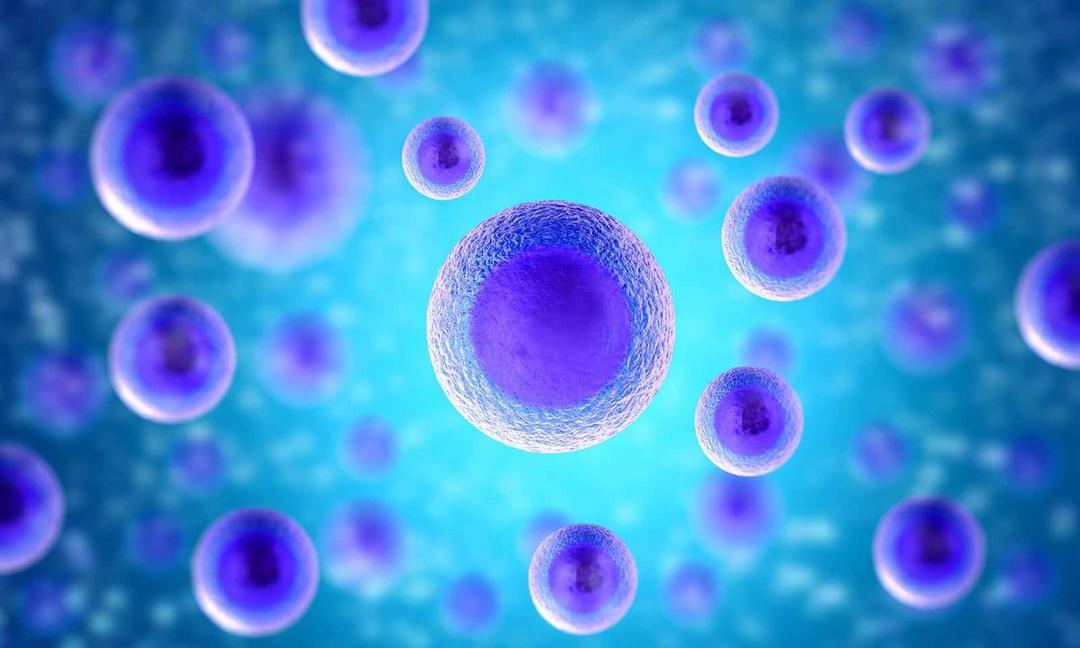 4 Pelajaran Positif yang Bisa Diambil dari Sel Dalam Tubuh Kita