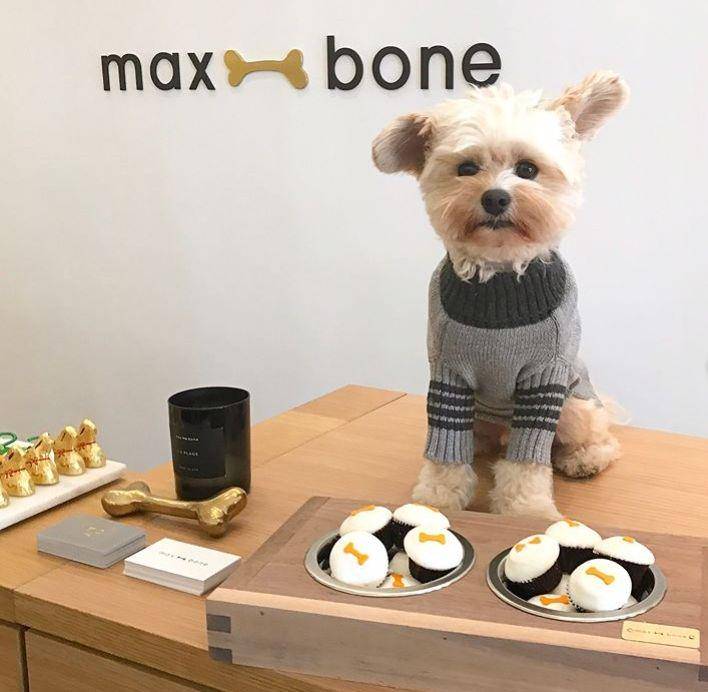 Instagram.com/popeyethefoodie