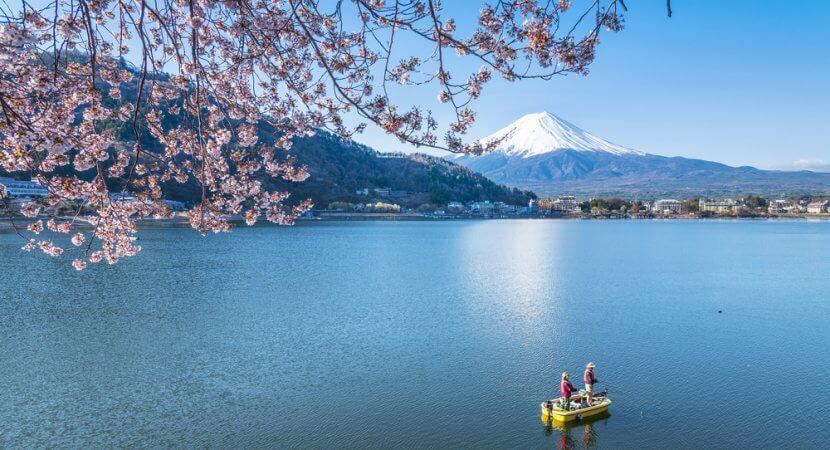 thetruejapan.com