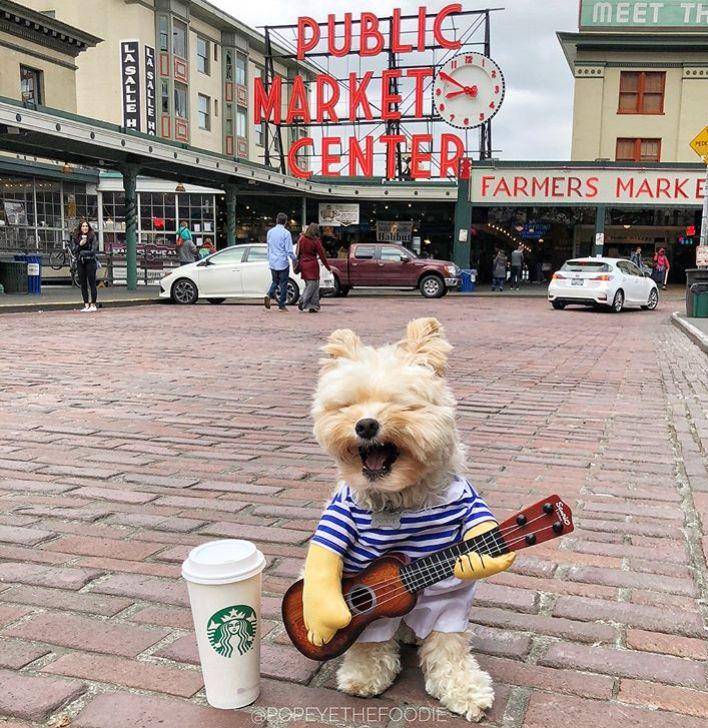 Instagram.com/popeyethefoodie