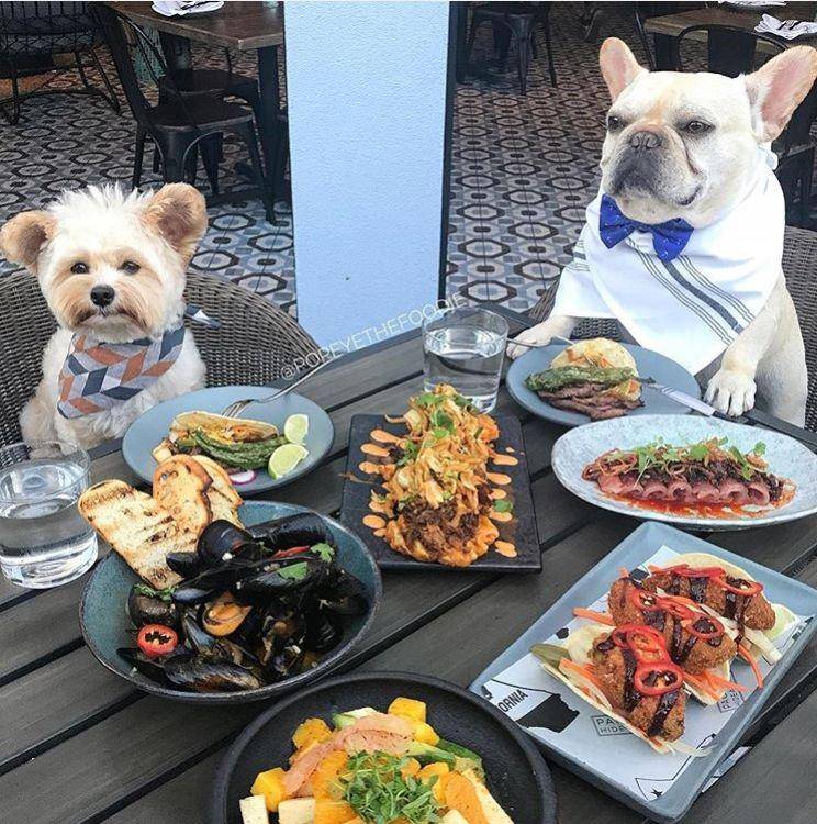 Instagram.com/popeyethefoodie