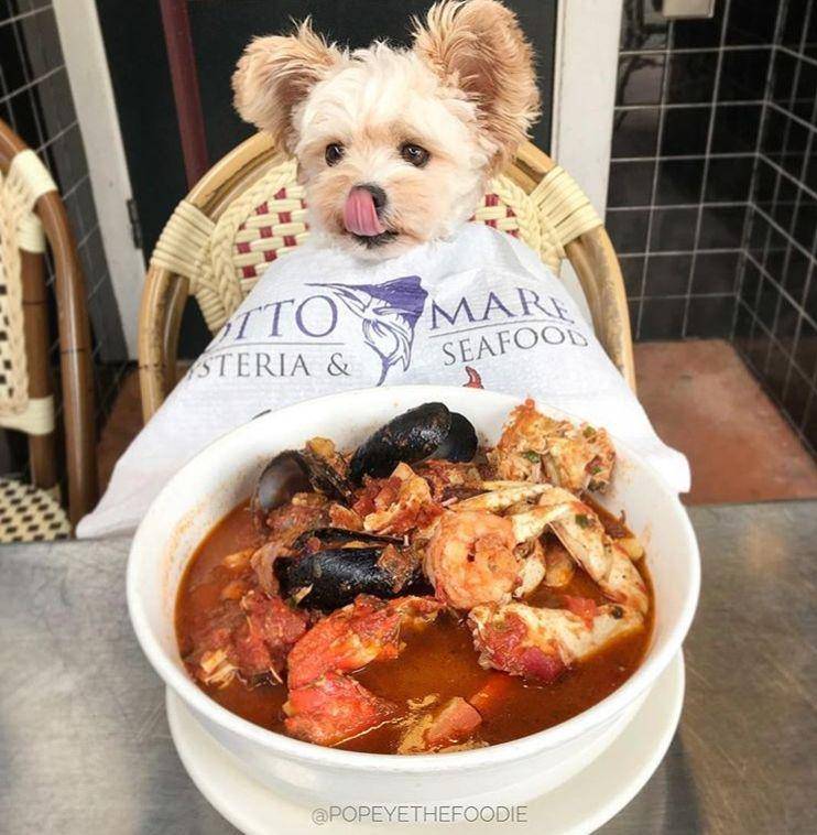 Instagram.com/popeyethefoodie