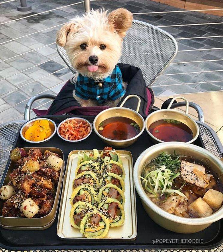 Instagram.com/popeyethefoodie