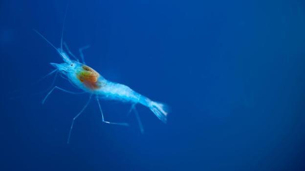 nationalgeographic.com
