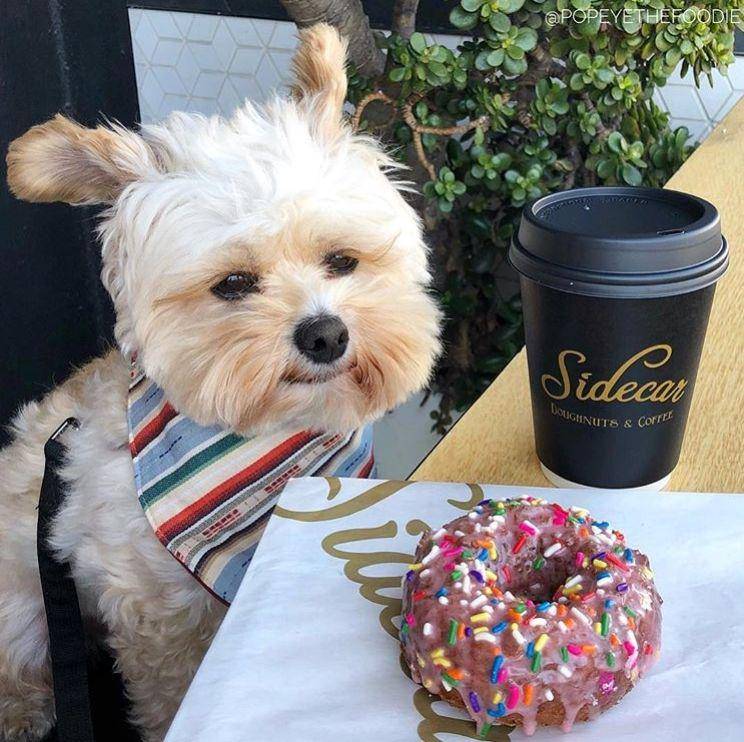Instagram.com/popeyethefoodie