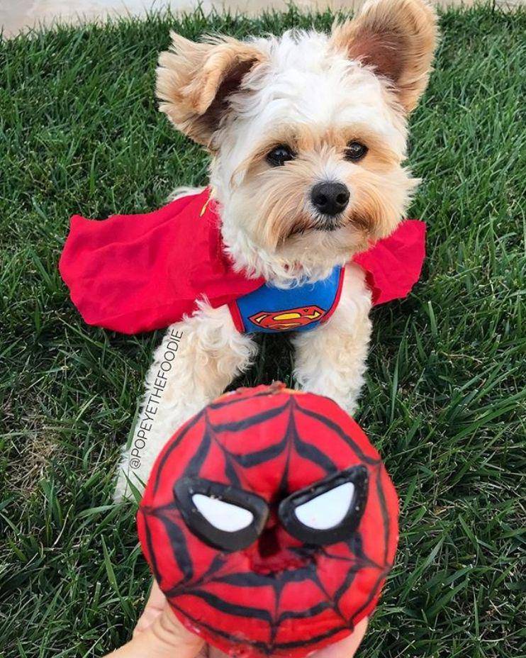 Instagram.com/popeyethefoodie