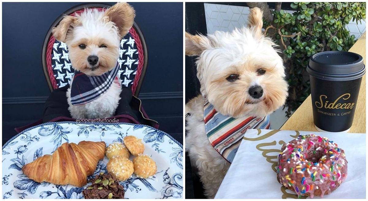 Instagram.com/popeyethefoodie