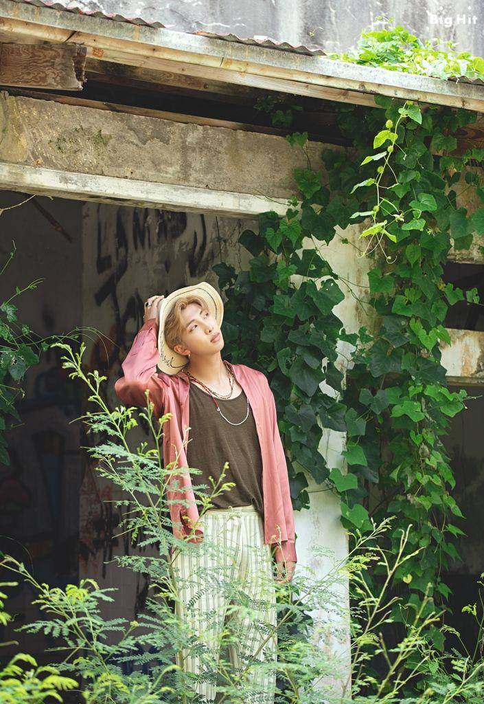 star.naver.com