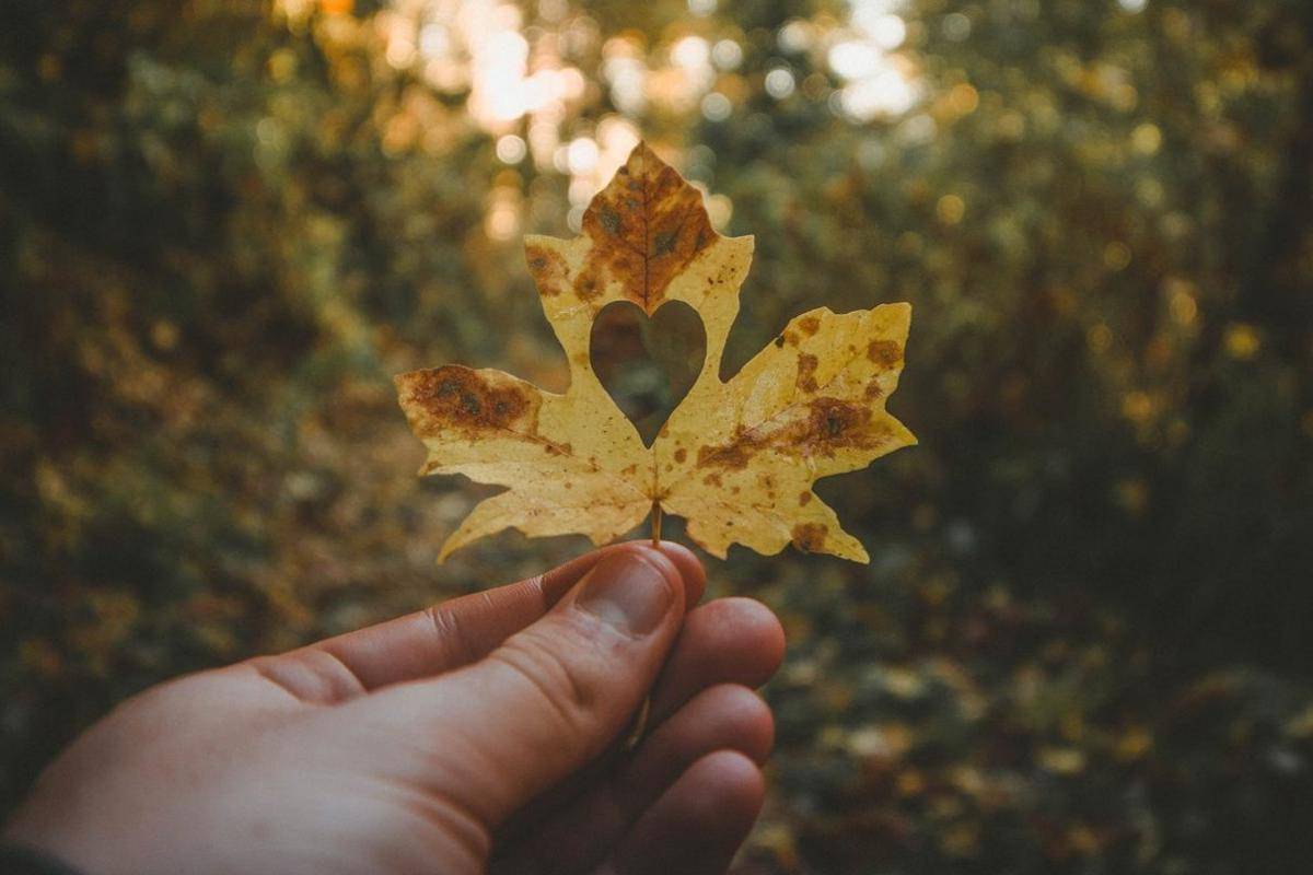 Unsplash/Anthony Intraversato