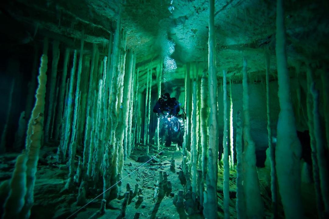 nationalgeographic.com