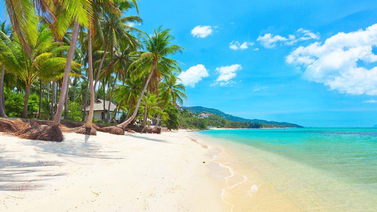 kosamui.com
