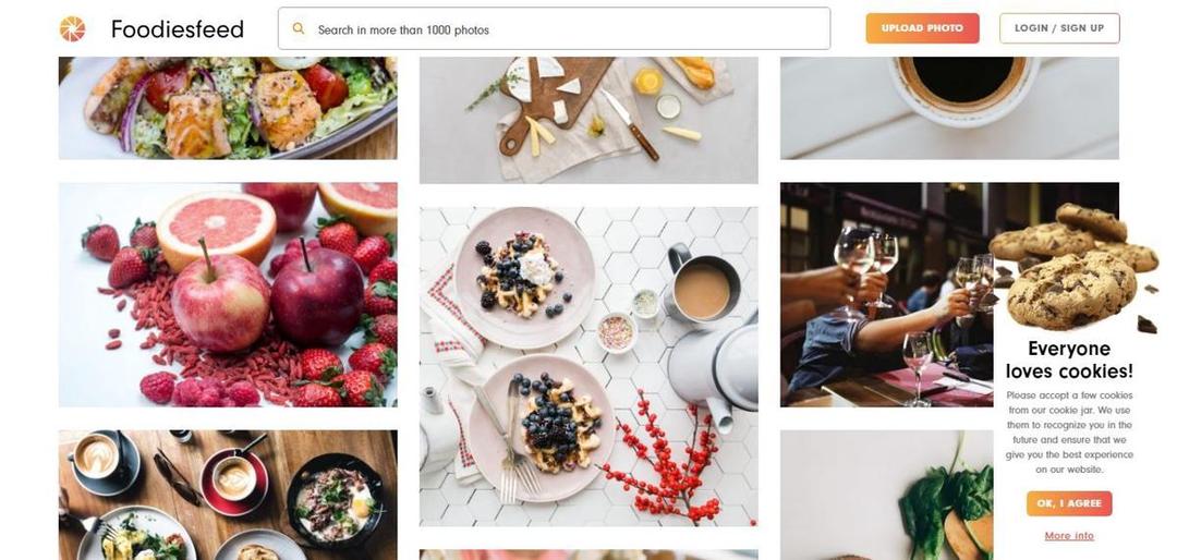 FoodiesFeed