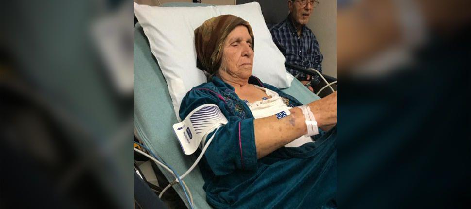 Bawa Pisau Buat Memotong Bunga, Nenek 87 Tahun Di-Stun-Gun Polisi