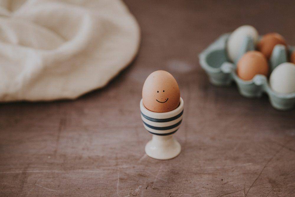 Unsplash/Annie Spratt