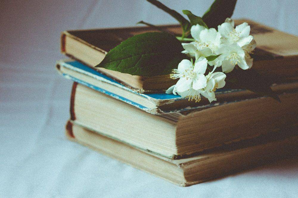 Unsplash/Aliis Sinisalu